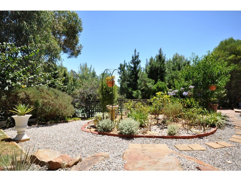 14 Salvador Street, Flagstaff Hill SA 5159