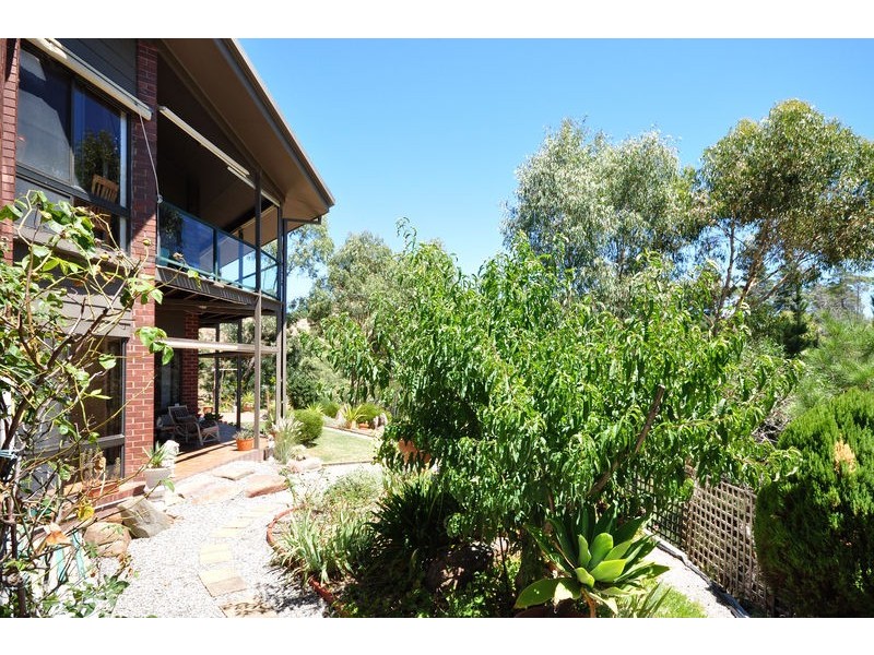 14 Salvador Street, Flagstaff Hill SA 5159