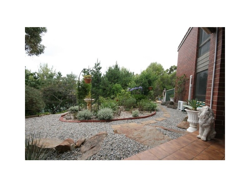 14 Salvador Street, Flagstaff Hill SA 5159