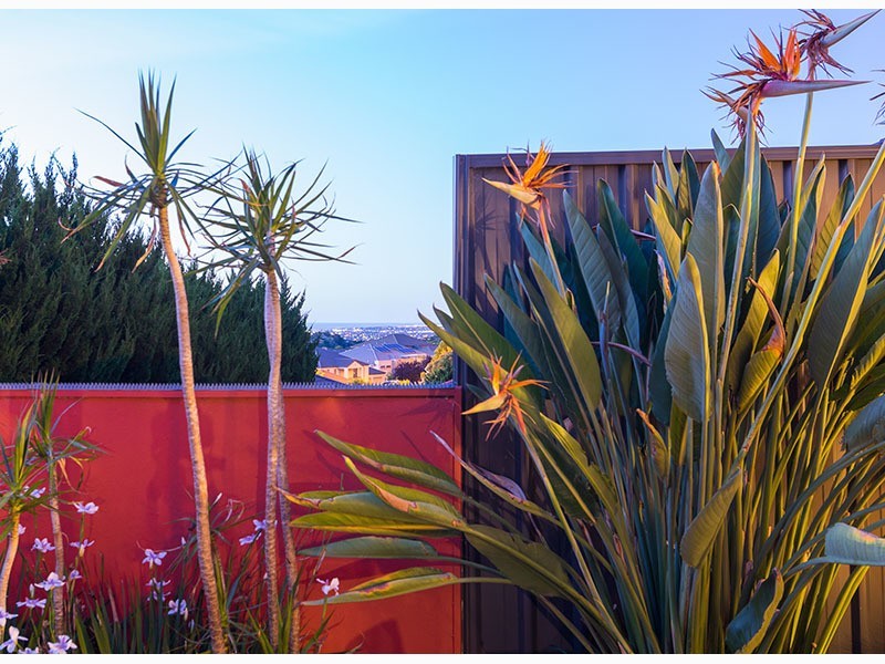 19 Acacia Grove, Flagstaff Hill SA 5159