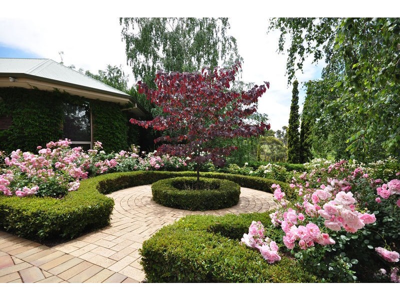 43 York Drive, Flagstaff Hill SA 5159