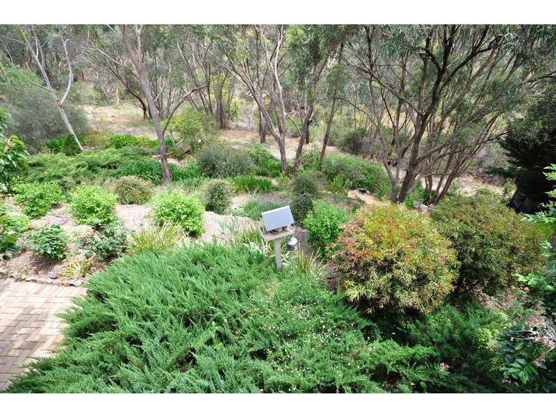 43 York Drive, Flagstaff Hill SA 5159