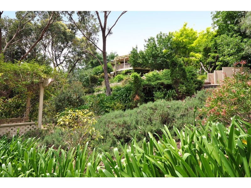 43 York Drive, Flagstaff Hill SA 5159