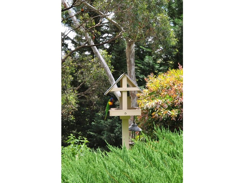 43 York Drive, Flagstaff Hill SA 5159