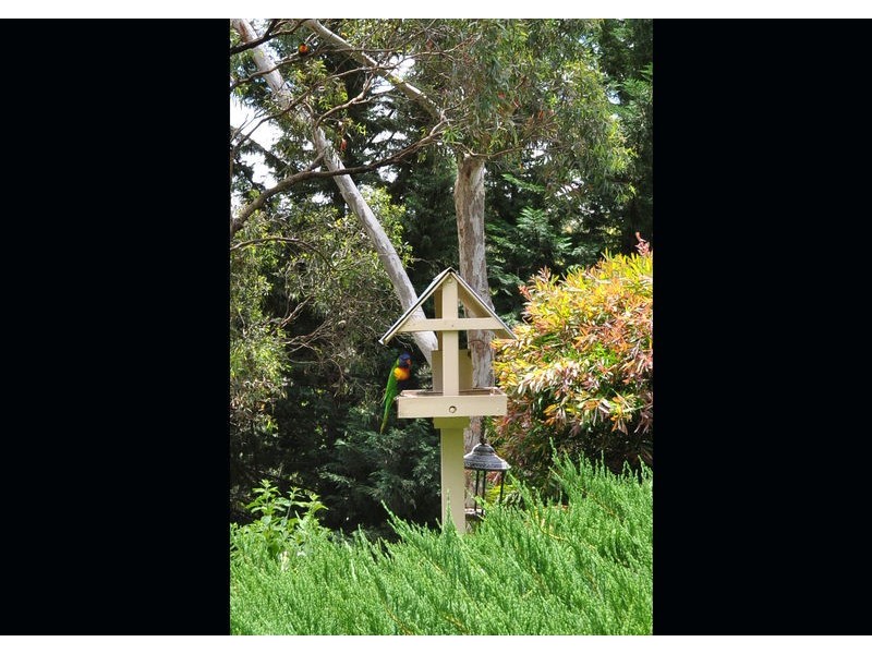 43 York Drive, Flagstaff Hill SA 5159