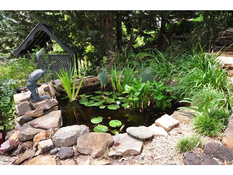 43 York Drive, Flagstaff Hill SA 5159