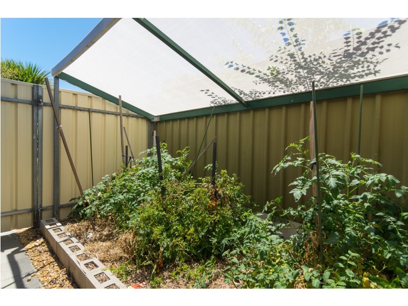 8 Menzies Court, Trott Park SA 5158