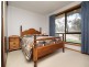 22 Durham Place, Flagstaff Hill SA 5159