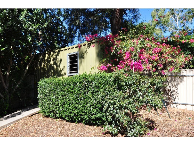 24 Catharina Street, Flagstaff Hill SA 5159