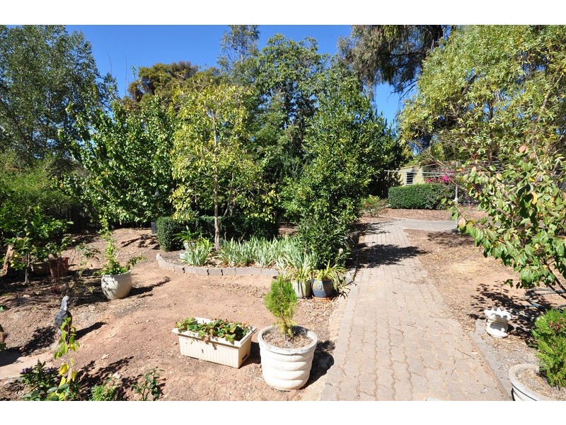 24 Catharina Street, Flagstaff Hill SA 5159