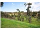 29 Hui Hui Drive, Happy Valley SA 5159