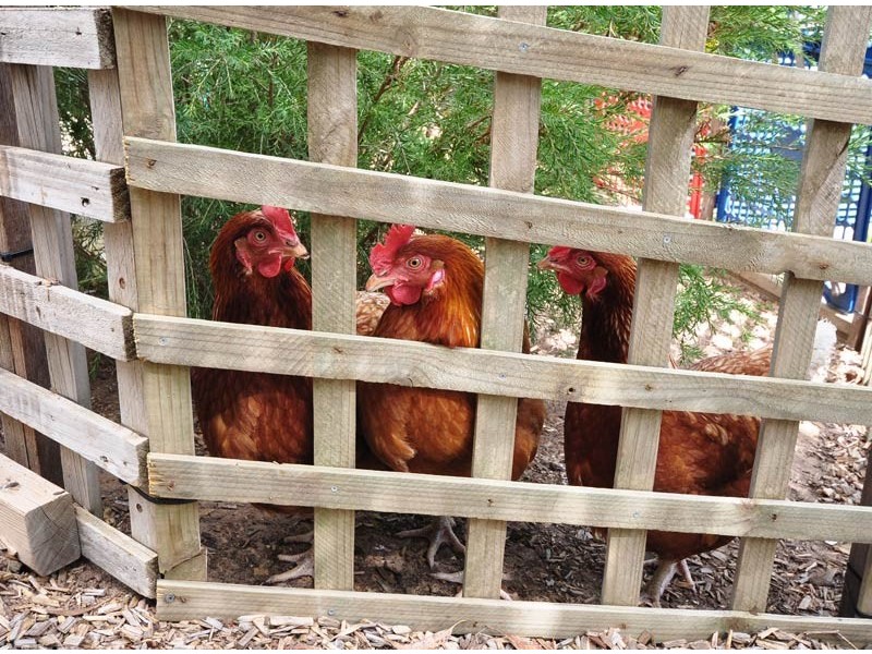 1A Simon Court, Aberfoyle Park SA 5159