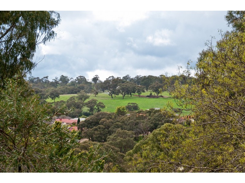 5 Goldfinch Place, Flagstaff Hill SA 5159