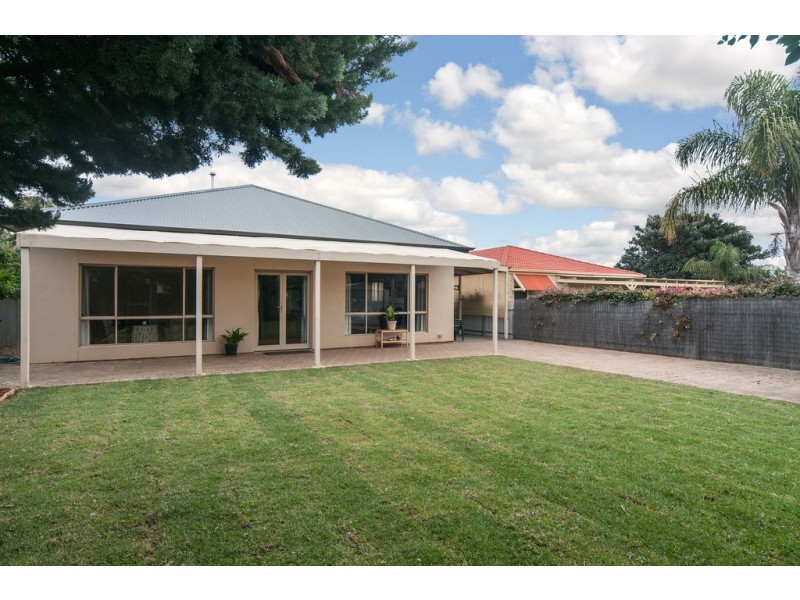 74 Morgan Avenue, Daw Park SA 5041