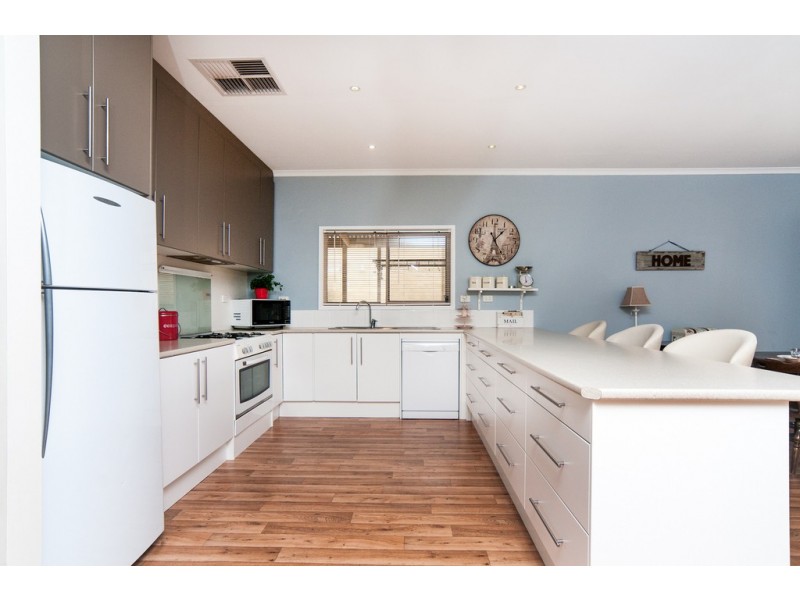 74 Morgan Avenue, Daw Park SA 5041