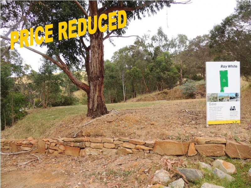 Lot 51 Hollitt Road, Clarendon SA 5157