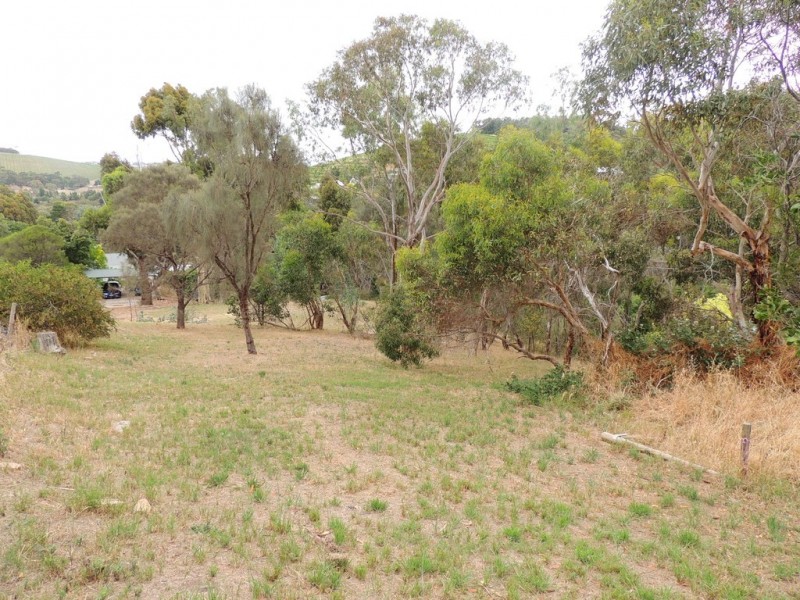 Lot 51 Hollitt Road, Clarendon SA 5157