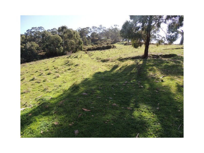 Lot 51 Hollitt Road, Clarendon SA 5157