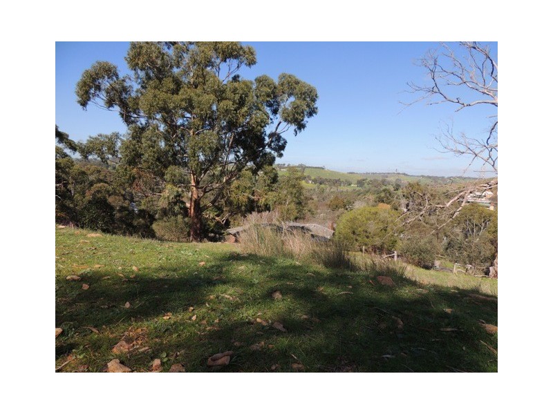 Lot 51 Hollitt Road, Clarendon SA 5157