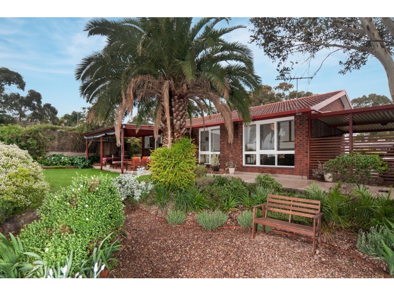 25 Witton Street, Flagstaff Hill SA 5159