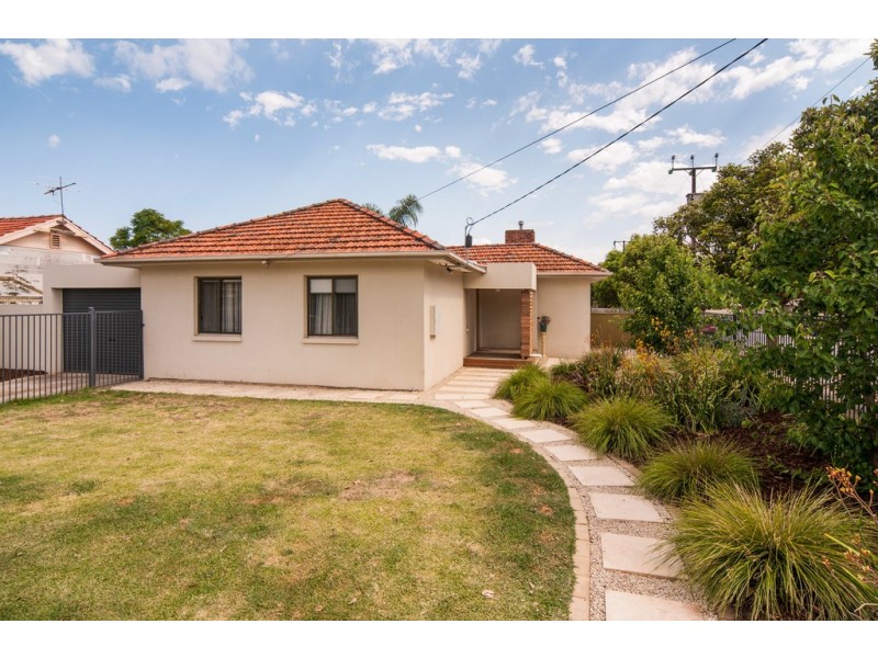 19 Walsh Avenue, St Marys SA 5042