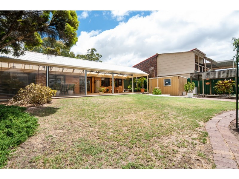 7 St Helena Street, Flagstaff Hill SA 5159