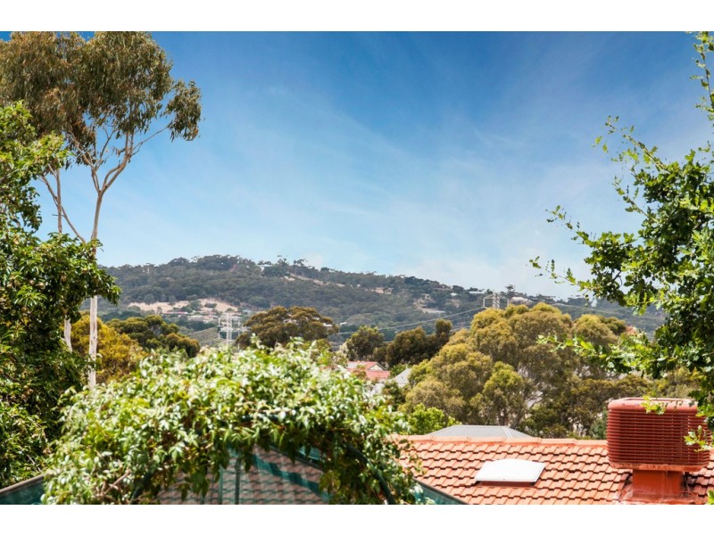 7 St Helena Street, Flagstaff Hill SA 5159