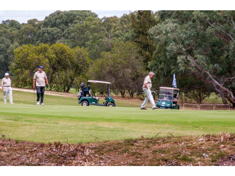 90 Birman Crescent, Flagstaff Hill SA 5159