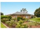38 Watson Avenue, Netley SA 5037