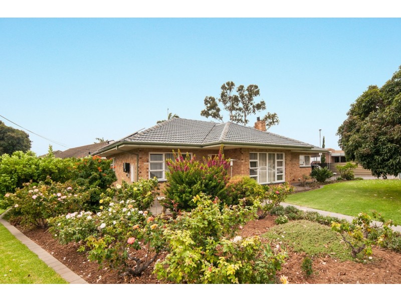 38 Watson Avenue, Netley SA 5037