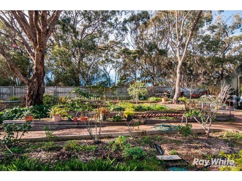 44 Glendale Avenue, Flagstaff Hill SA 5159