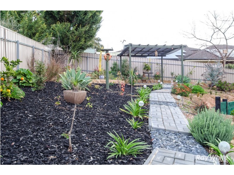 43 Ironbark Avenue, Flagstaff Hill SA 5159