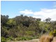 43 Ironbark Avenue, Flagstaff Hill SA 5159