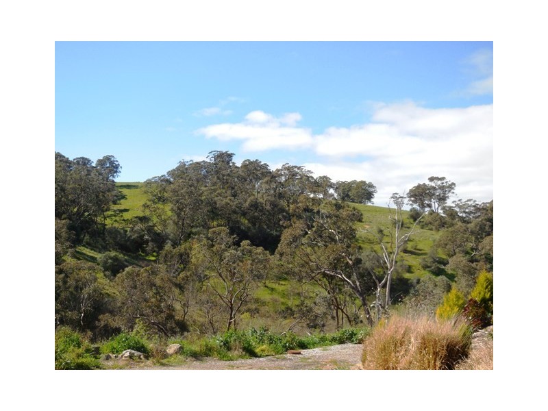 43 Ironbark Avenue, Flagstaff Hill SA 5159