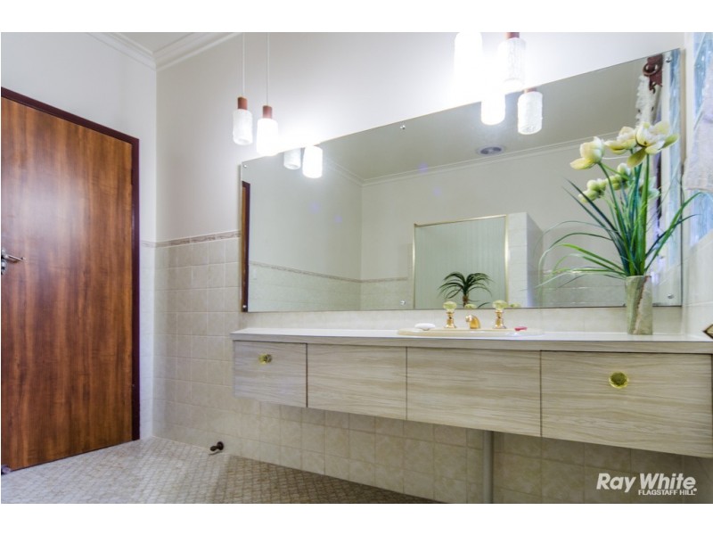 24 Vynland Drive, Flagstaff Hill SA 5159