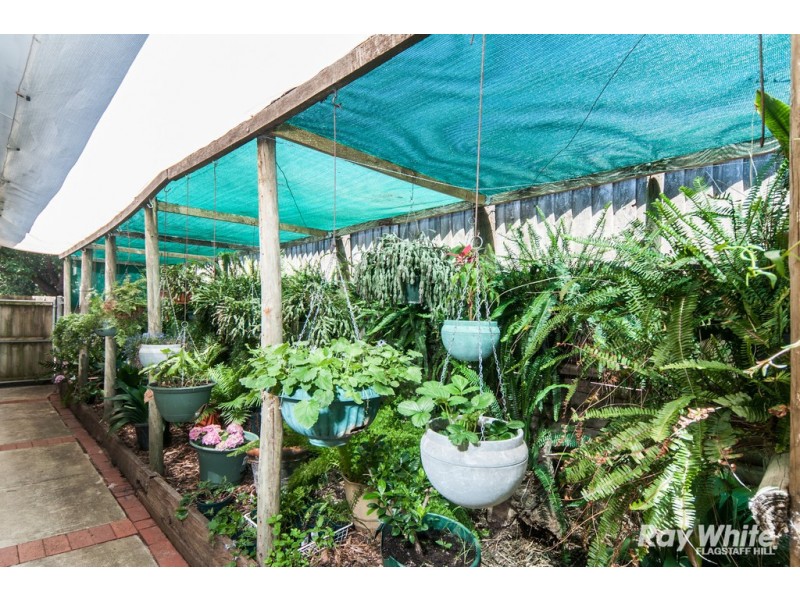 14A Pine Drive, Aberfoyle Park SA 5159