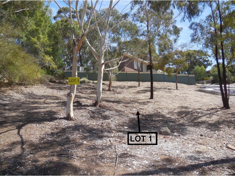 Lot 4, 138 Broadmeadow Drive, Flagstaff Hill SA 5159