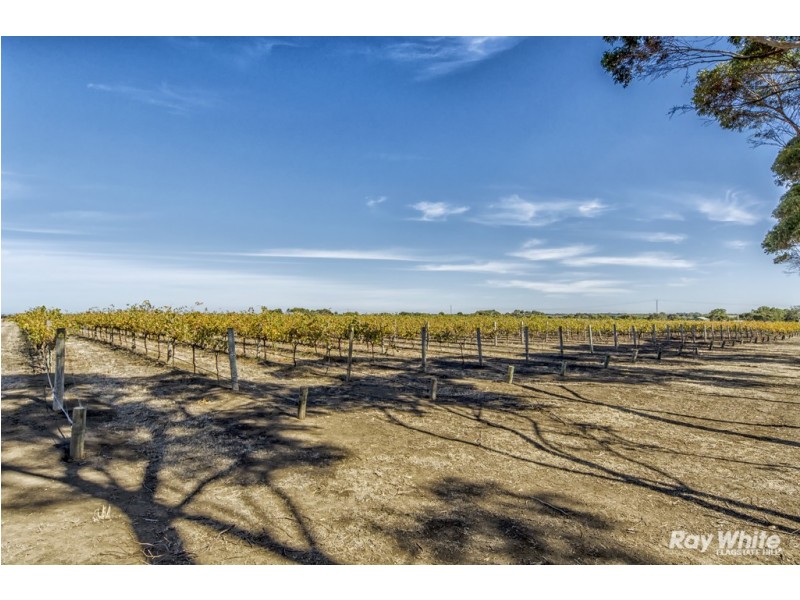 44 Ryan Road, Whites Valley SA 5172