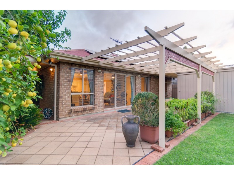 8 Honeyeater Crescent, Flagstaff Hill SA 5159