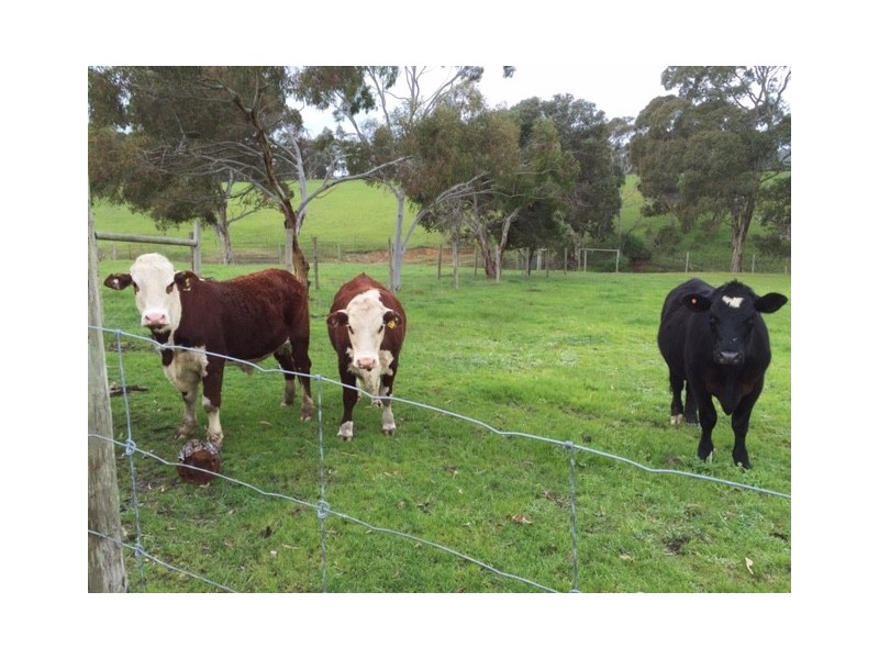 25 Colbert Road, Kangarilla SA 5157