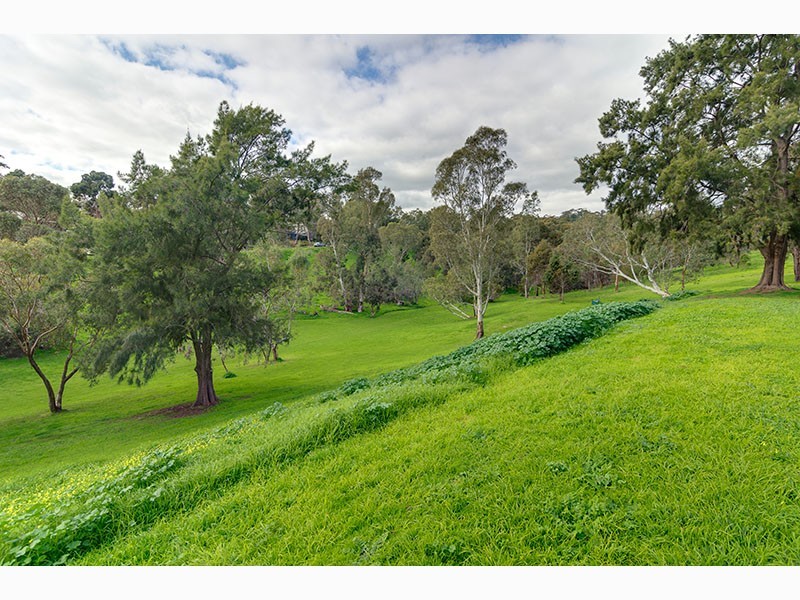 20 Maluka Drive, Happy Valley SA 5159