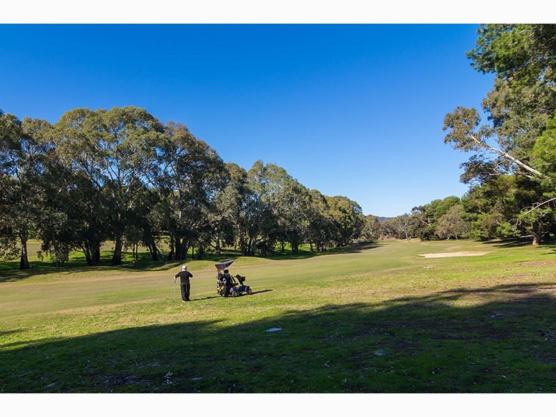 4 Fairlie Drive, Flagstaff Hill SA 5159