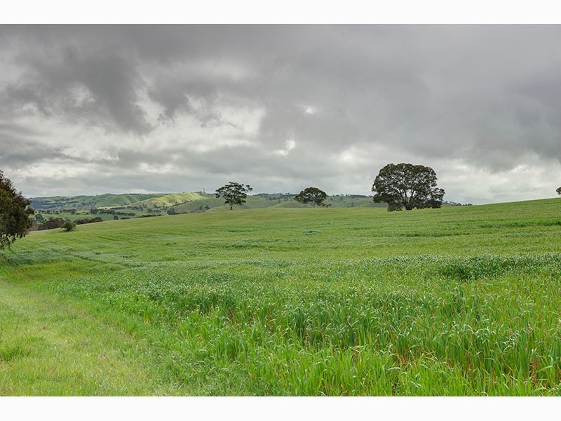 8 Harrogate Road, Harrogate SA 5244