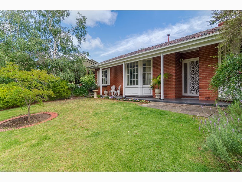 50 Birman Crescent, Flagstaff Hill SA 5159