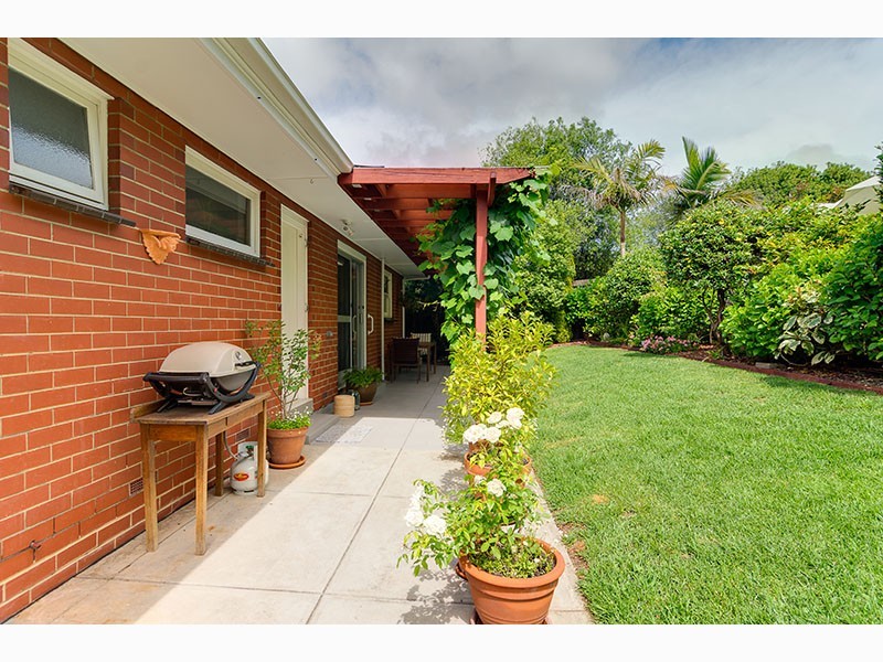 50 Birman Crescent, Flagstaff Hill SA 5159