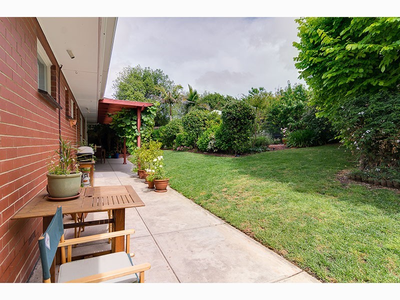 50 Birman Crescent, Flagstaff Hill SA 5159