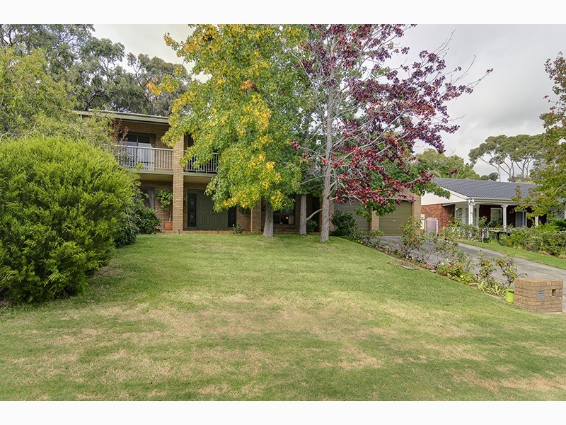 31 Fairlie Drive, Flagstaff Hill SA 5159
