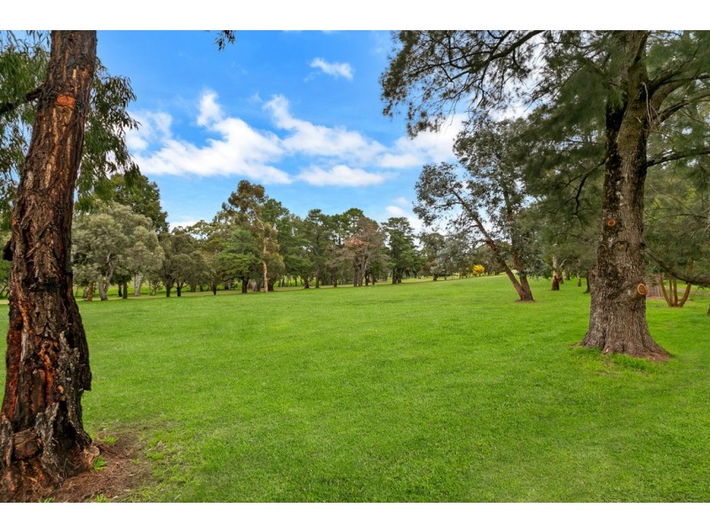 29 Ridgway Drive, Flagstaff Hill SA 5159