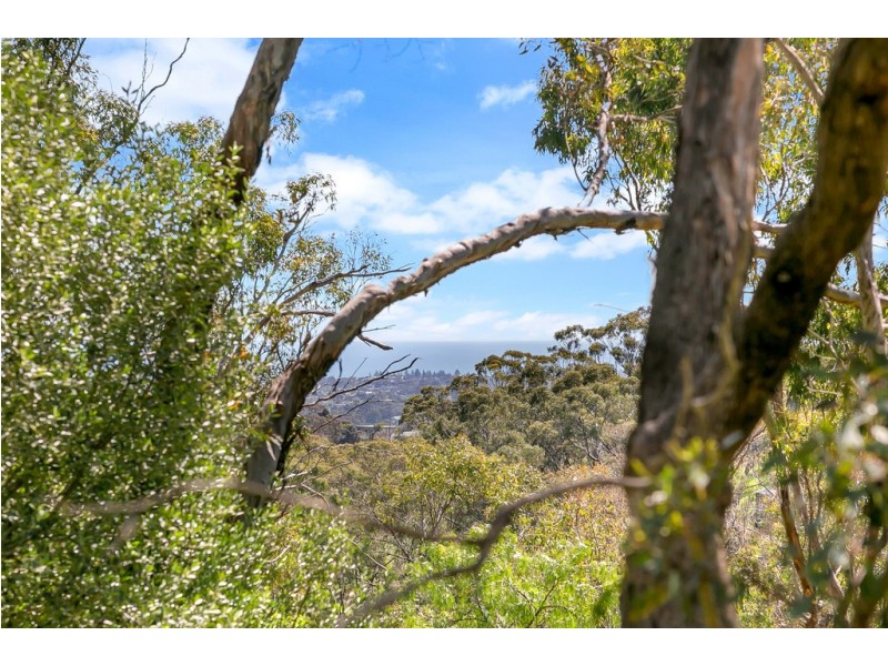 28 Euro Avenue, Eden Hills SA 5050