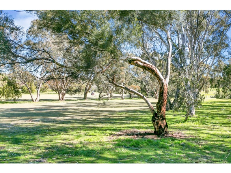 5 Fama Court, Flagstaff Hill SA 5159